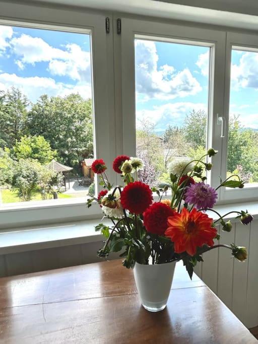 Sonnige Wohnung Am Lindenberg Lohfelden Екстер'єр фото